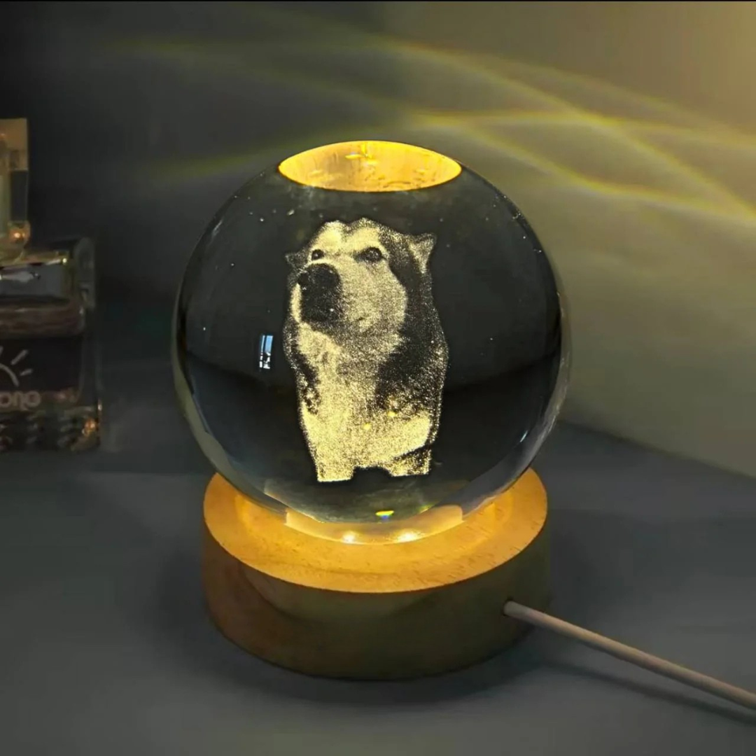 Crystal LED Personalizável