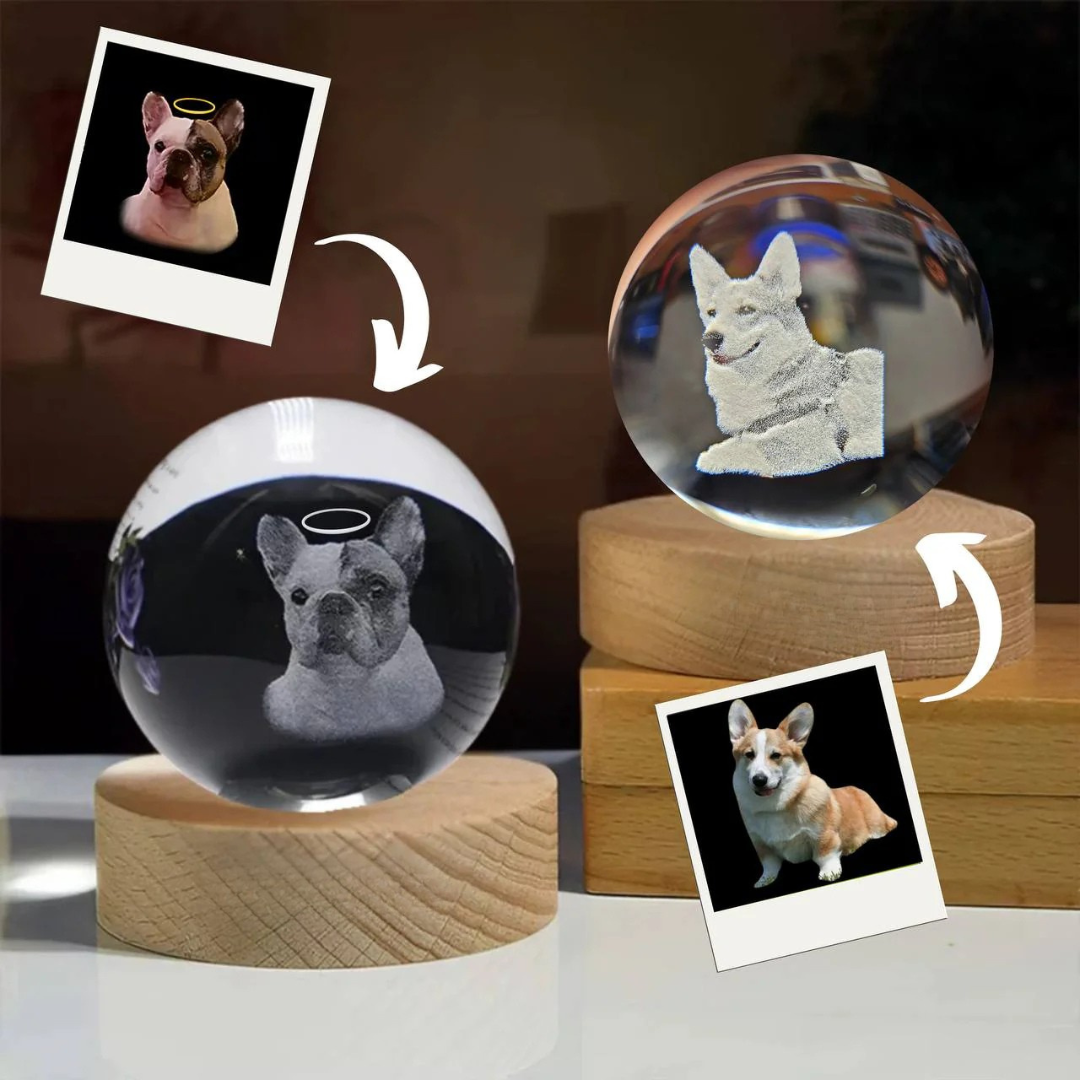 Crystal LED Personalizável